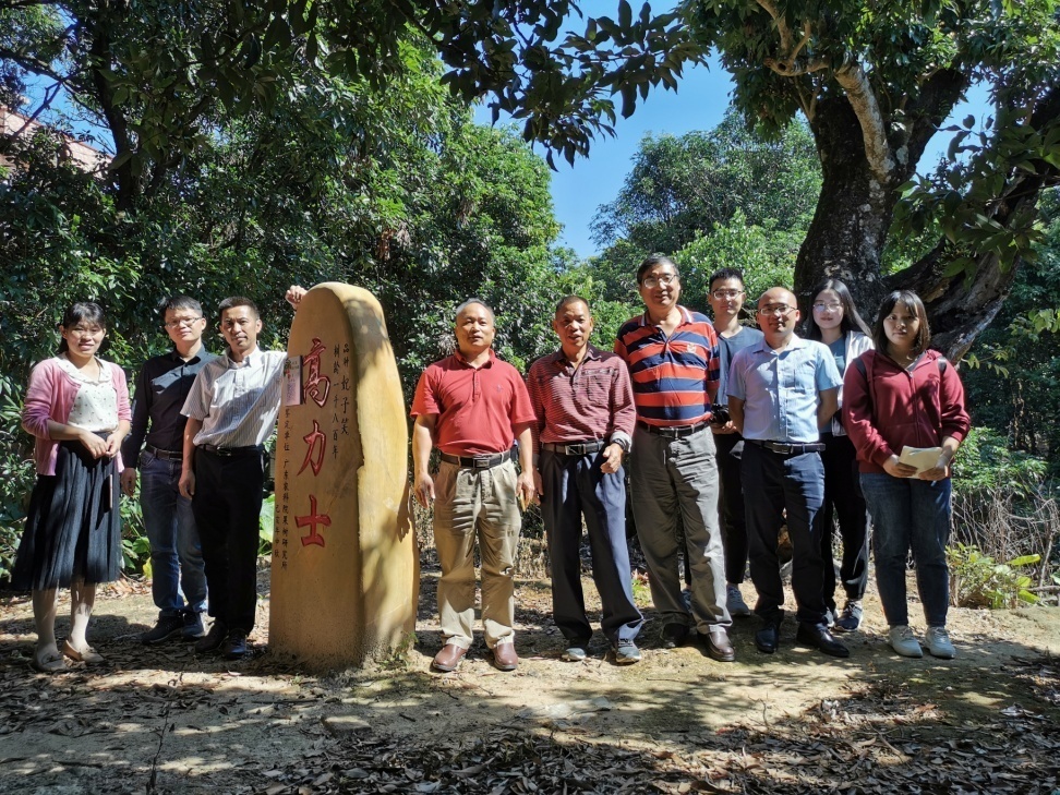 特色鲜明的古荔枝树,如命名为"潘茂名"高力士"牛鄌"织女"双凤朝