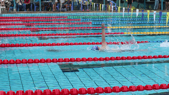 男子100米仰泳轻松第一.gif 男子100米仰泳轻松第一.gif