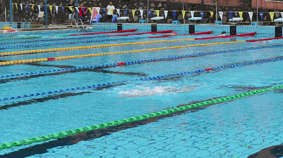 男子100米蛙泳发起最后冲刺.gif 男子100米蛙泳发起最后冲刺.gif