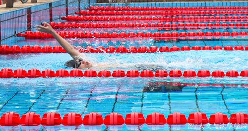 男子50米仰泳比赛_副本.jpg 男子50米仰泳比赛_副本.jpg