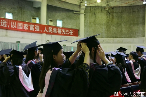 同学们互相整理学士服.jpg 同学们互相整理学士服.jpg